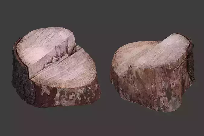 Wooden Stump