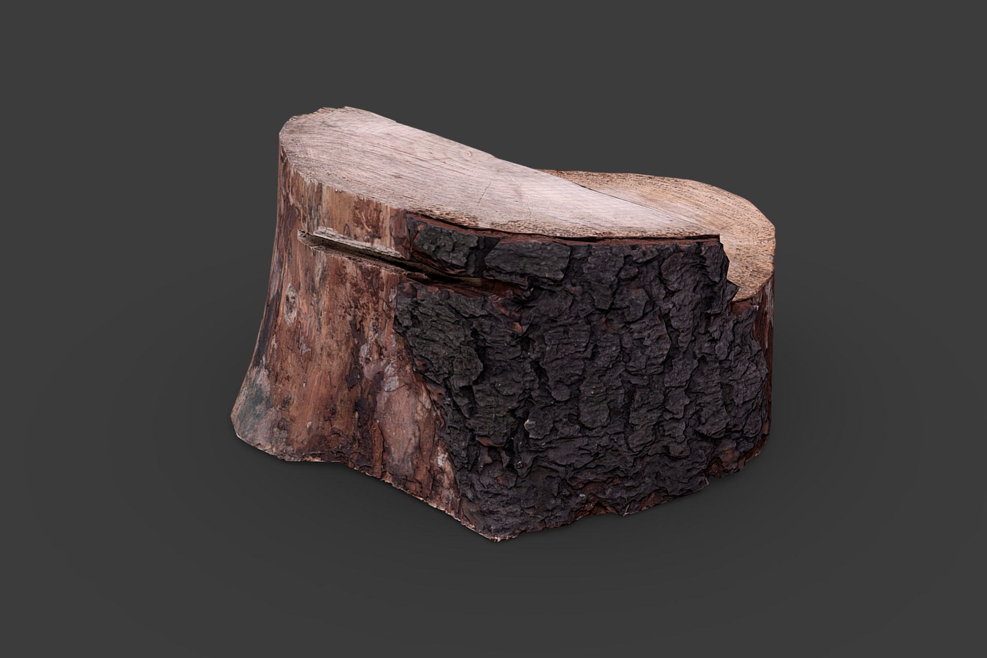 Wooden Stump Low-poly 3D model_6