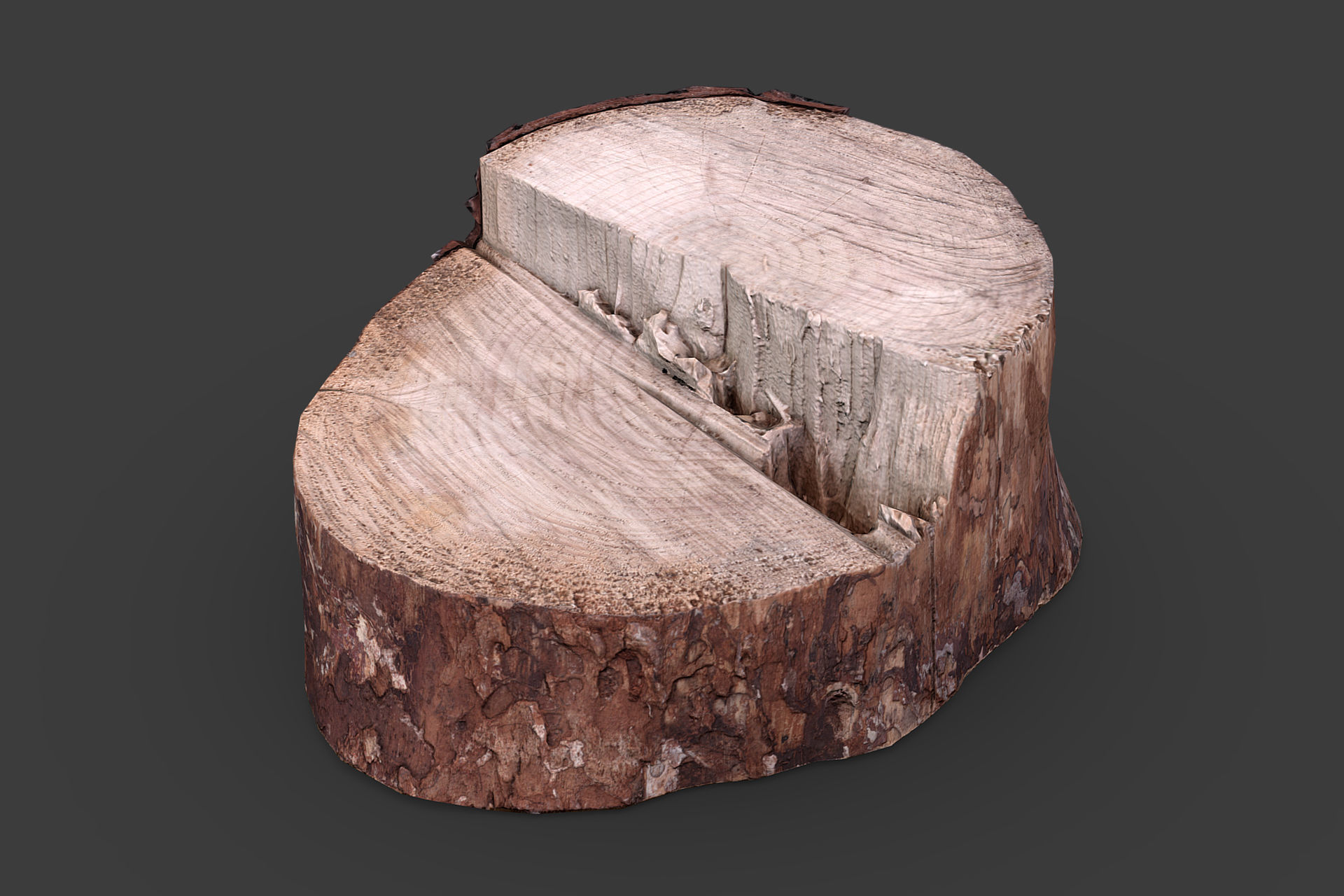 Wooden Stump Low-poly 3D model_2