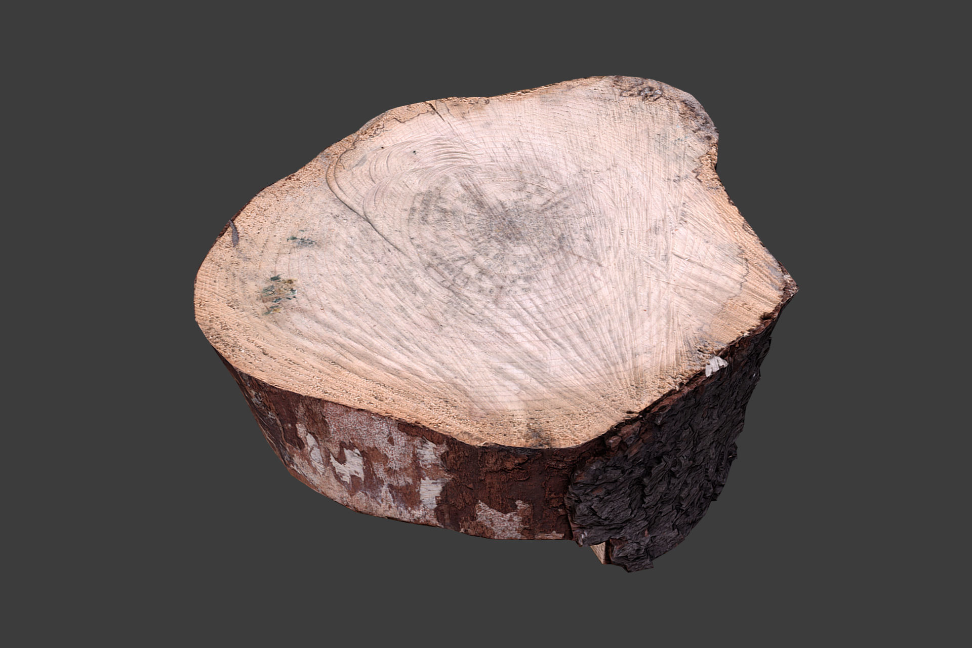 Wooden Stump Low-poly 3D model_4