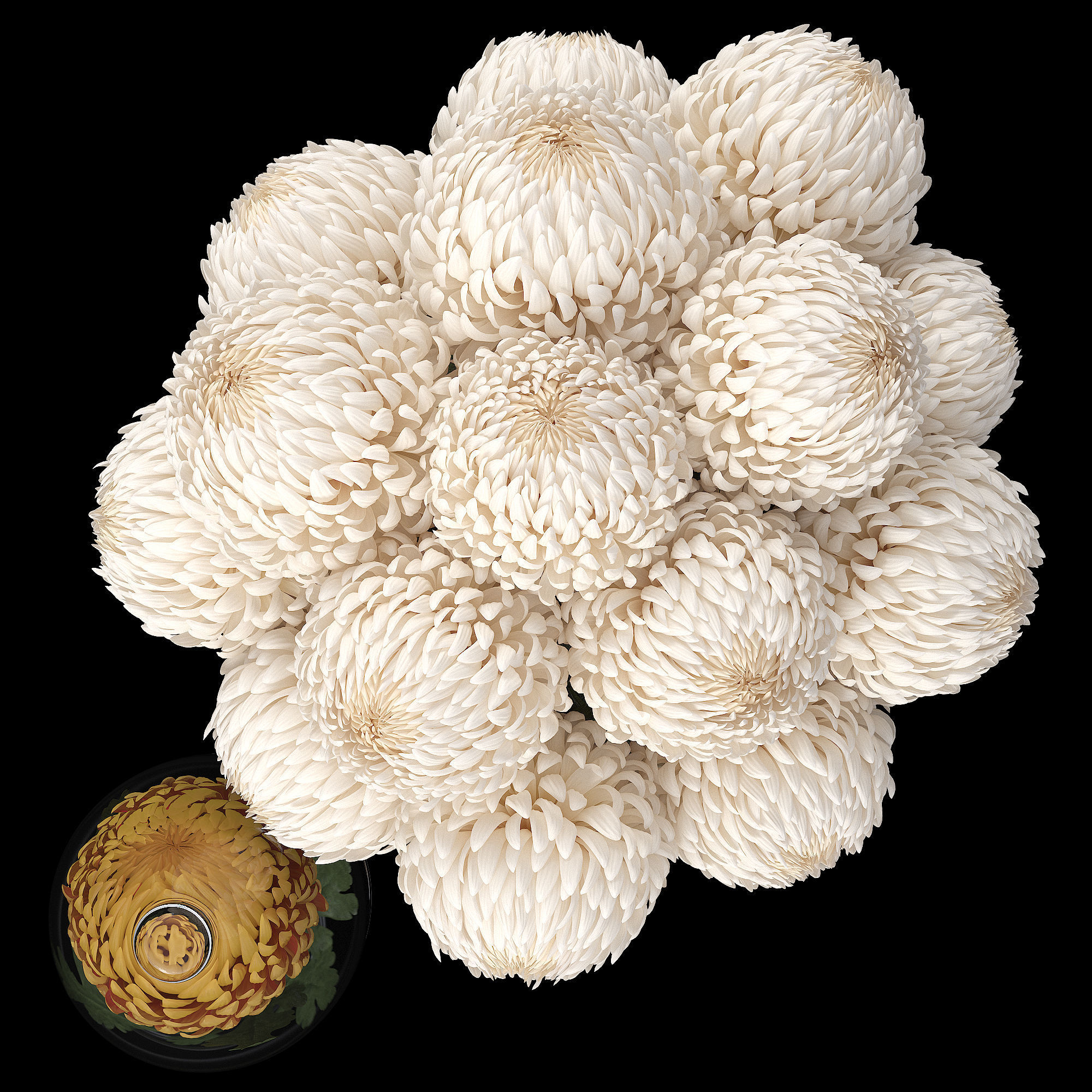 Chrysanthemum small 3D model_2