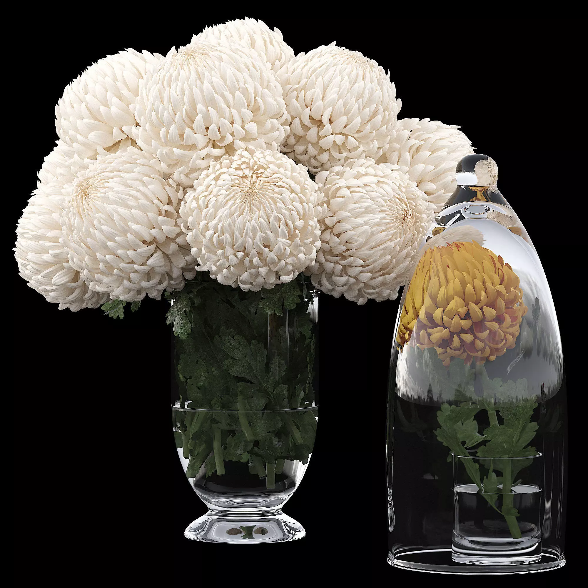 Chrysanthemum small 3D model_0