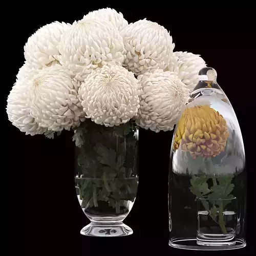 Chrysanthemum small