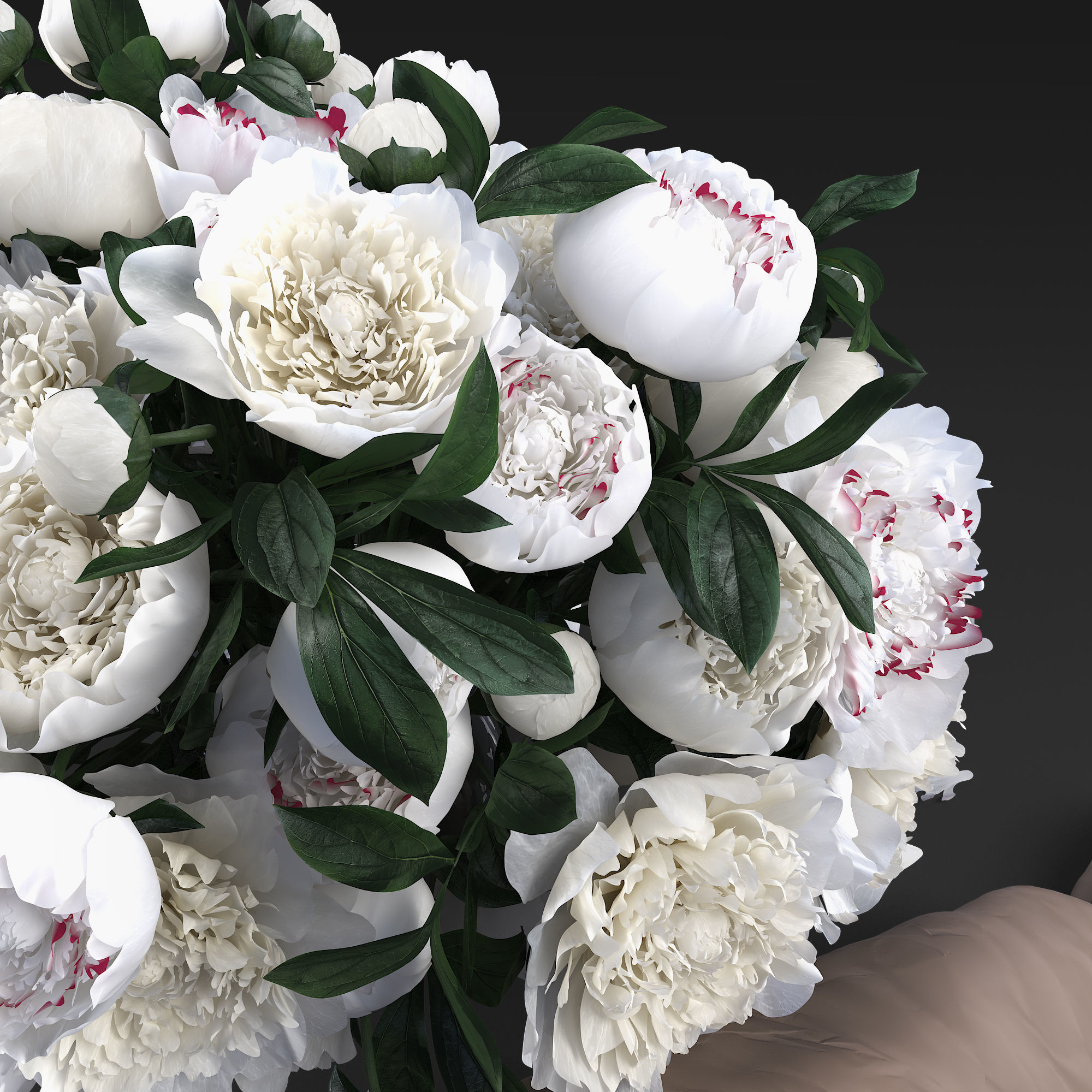 White peonies 3D model_1