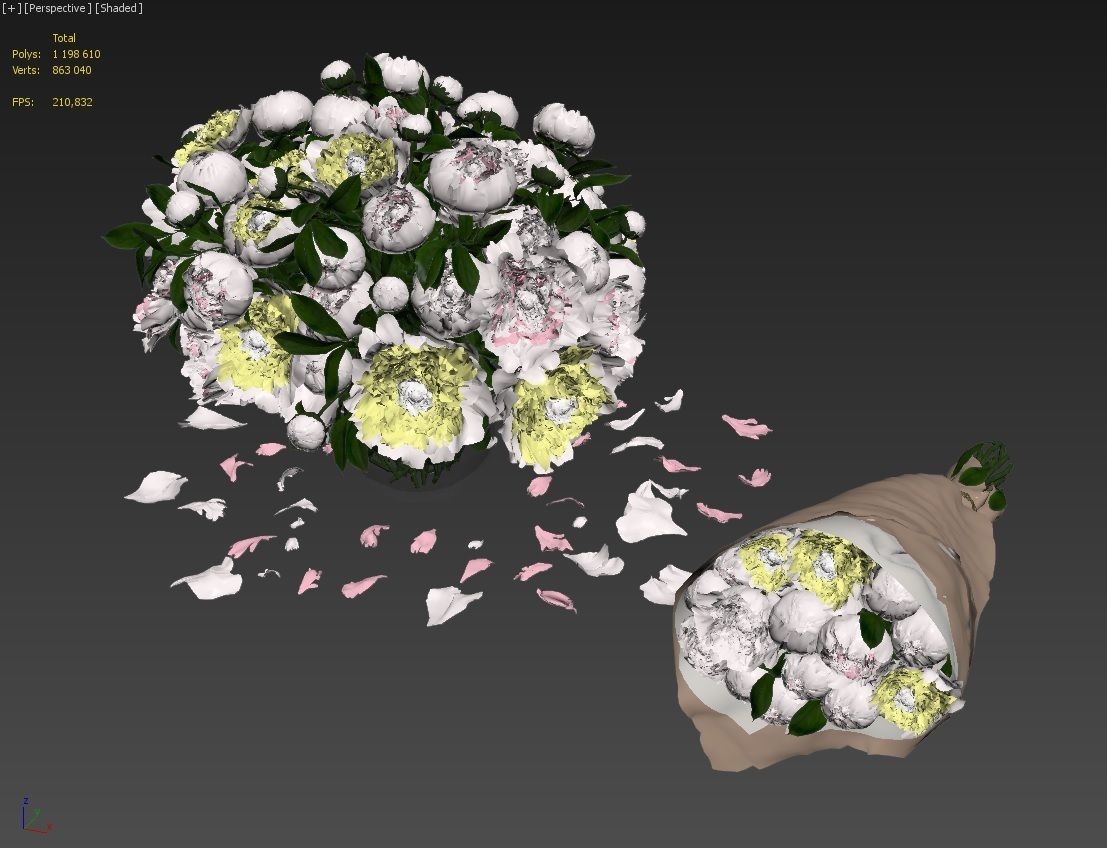 White peonies 3D model_8