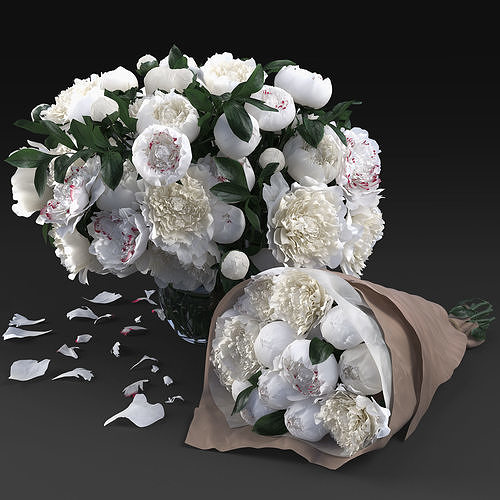 White peonies 3D model