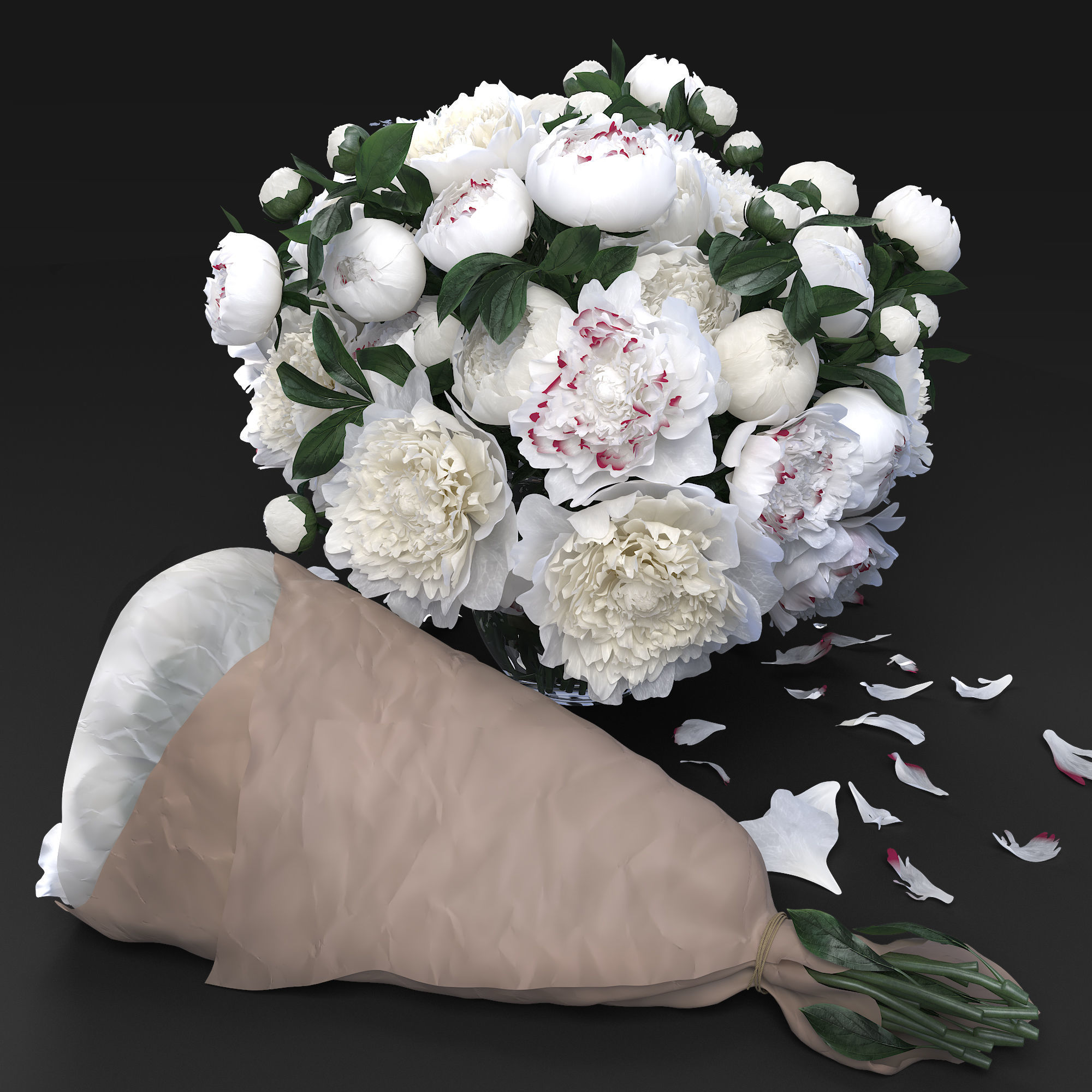 White peonies 3D model_5