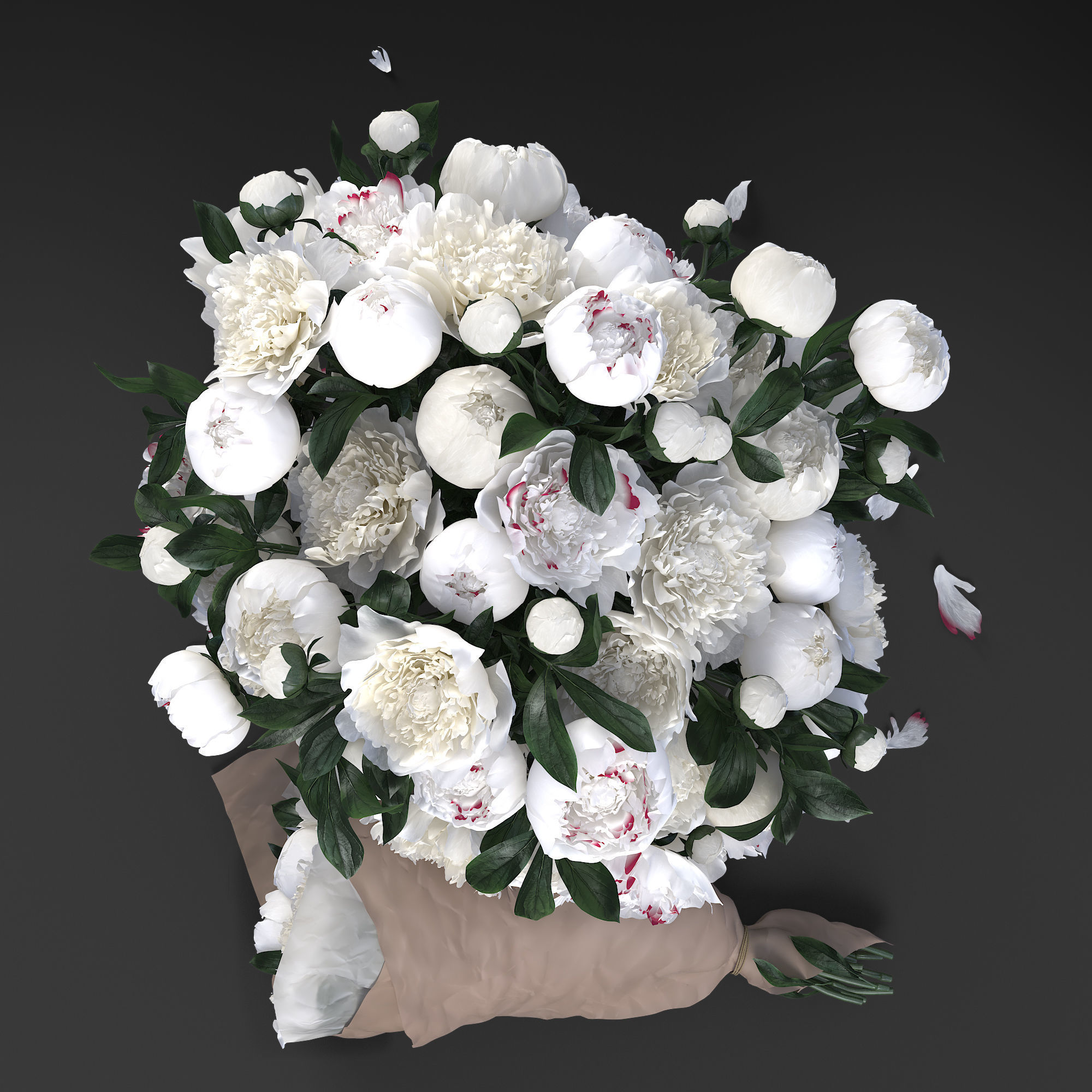 White peonies 3D model_2