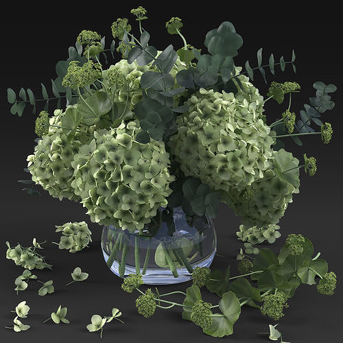 Hydrangea 3D model