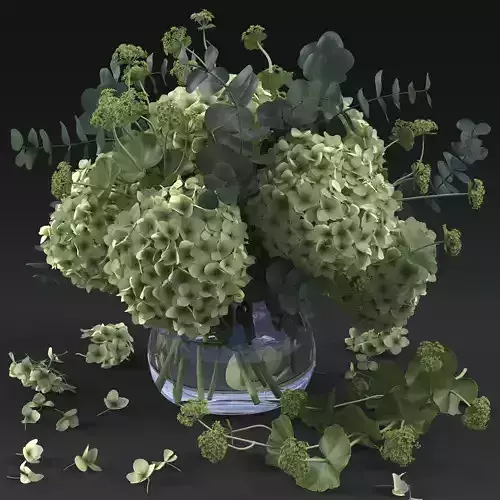 Hydrangea 3D model