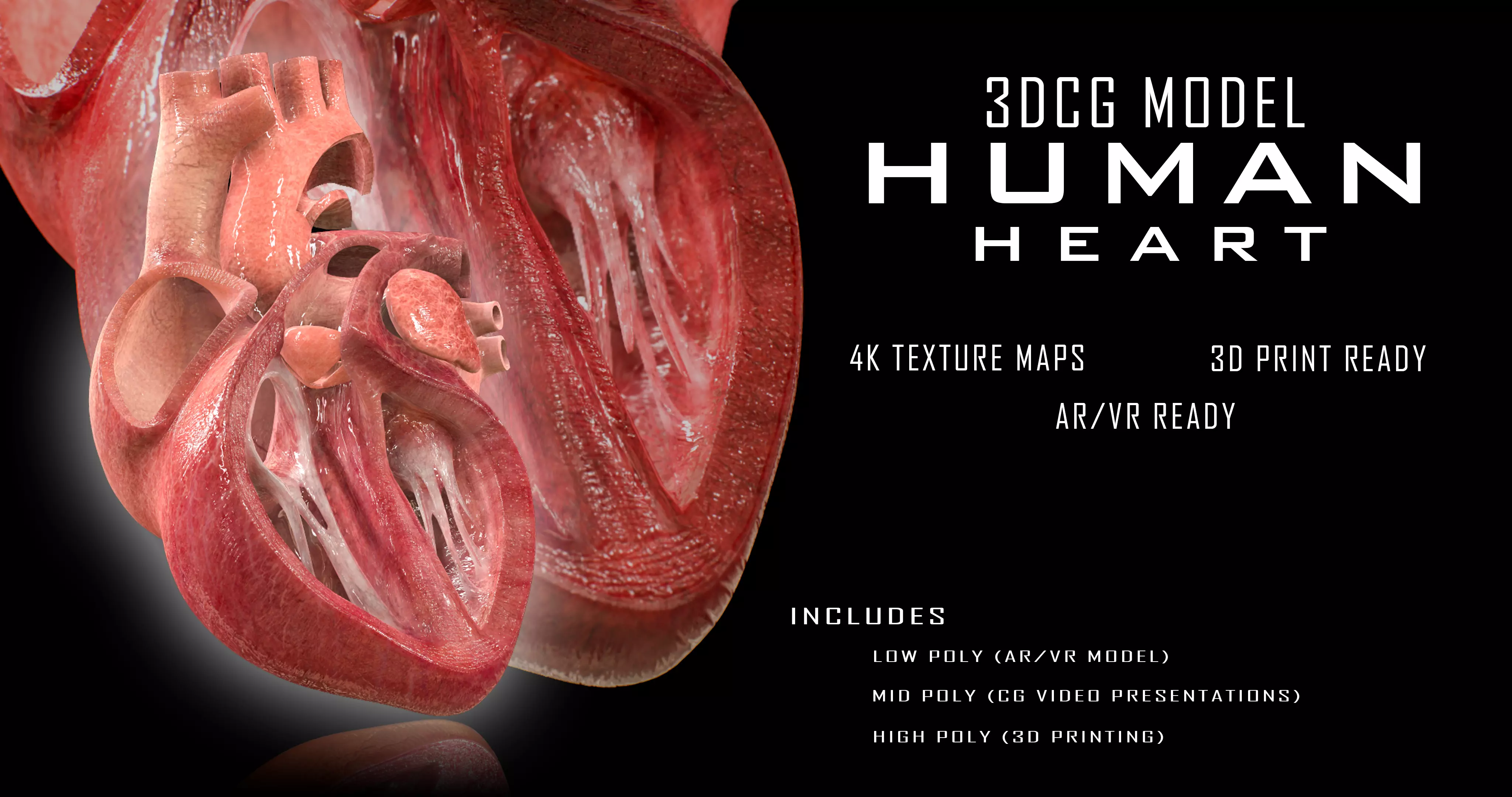 Human Heart Low-poly 3D model_0