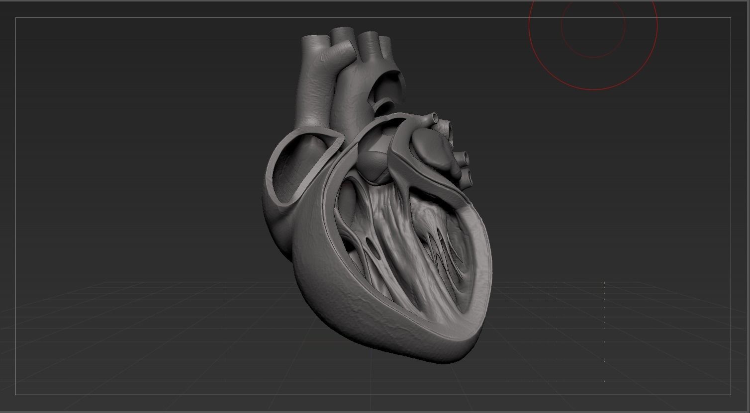 Human Heart Low-poly 3D model_26