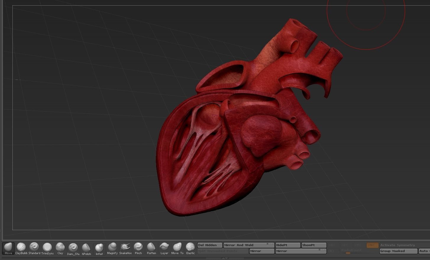 Human Heart Low-poly 3D model_25