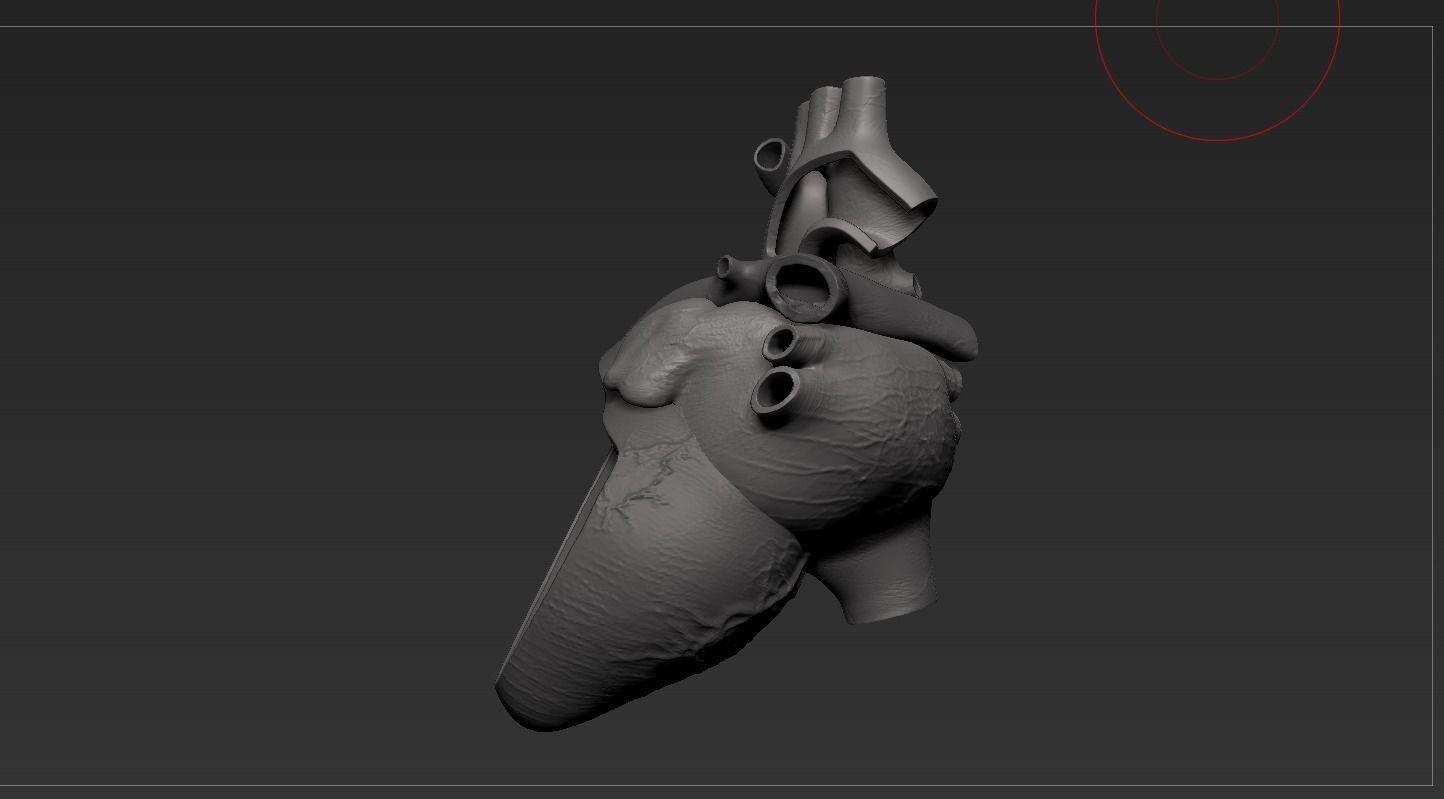 Human Heart Low-poly 3D model_28