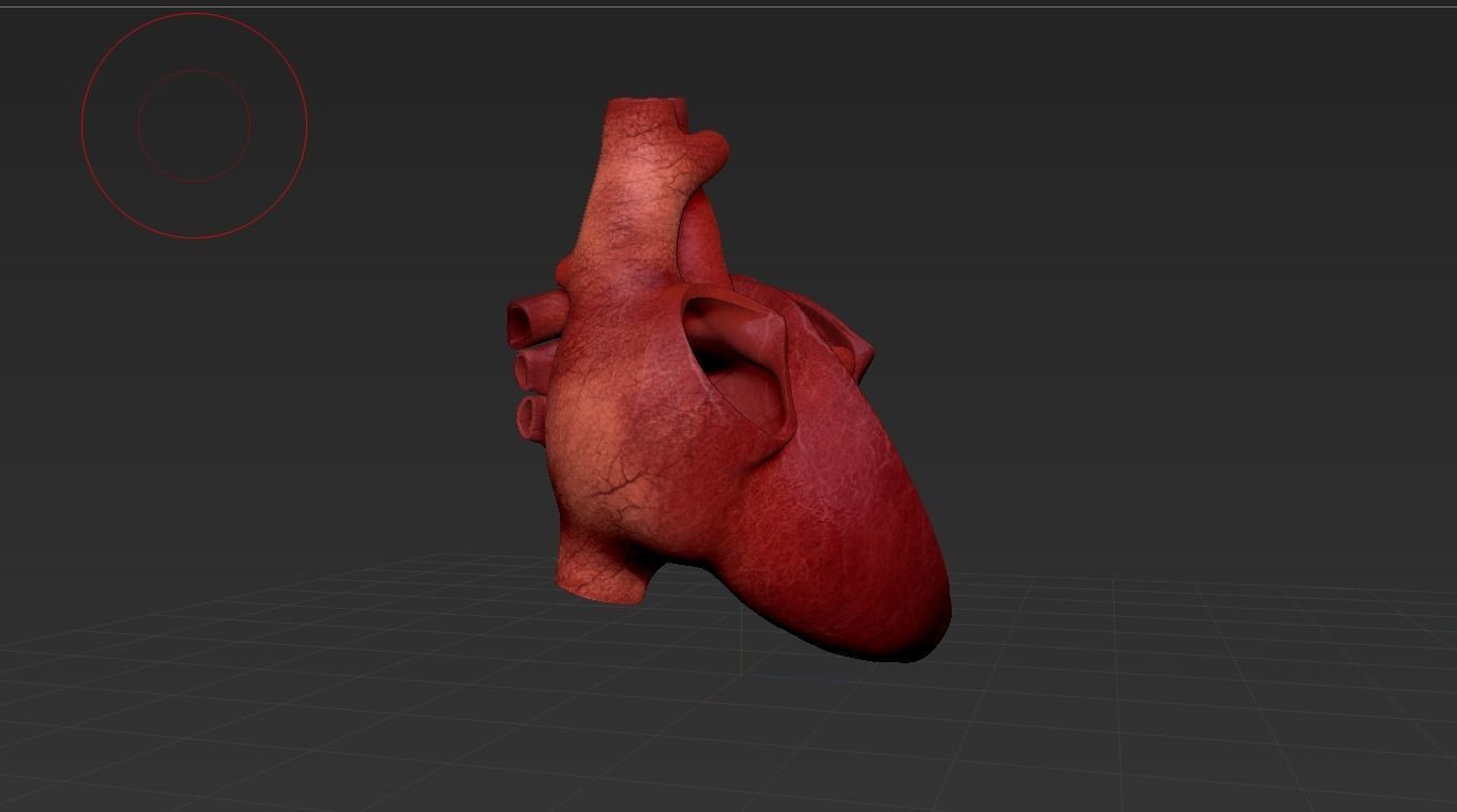Human Heart Low-poly 3D model_23