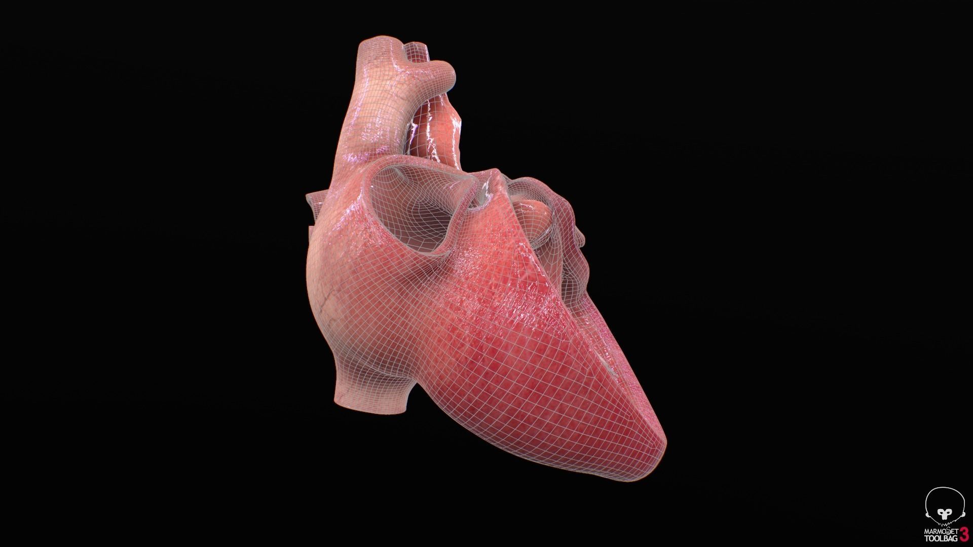 Human Heart Low-poly 3D model_18