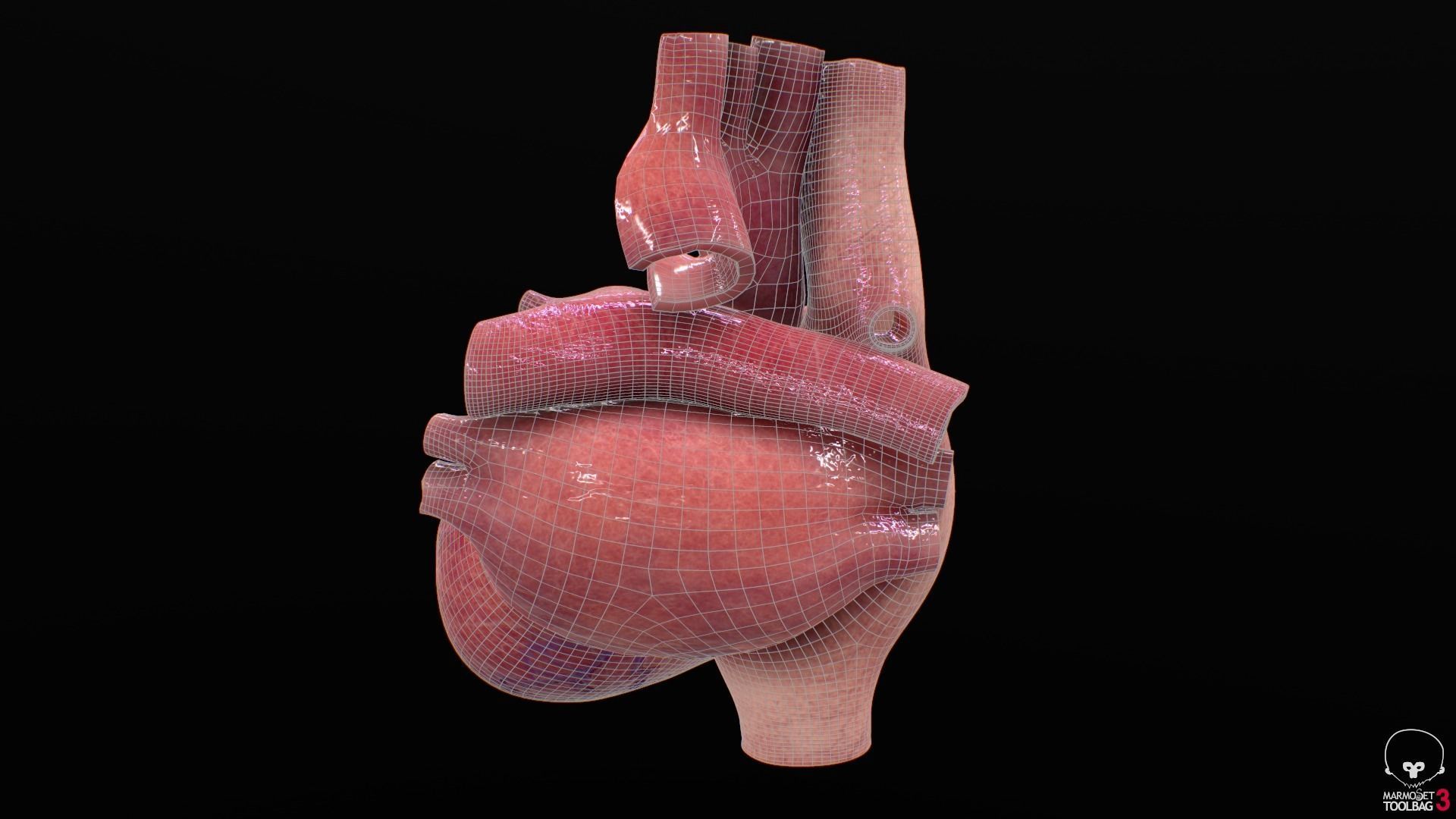Human Heart Low-poly 3D model_19