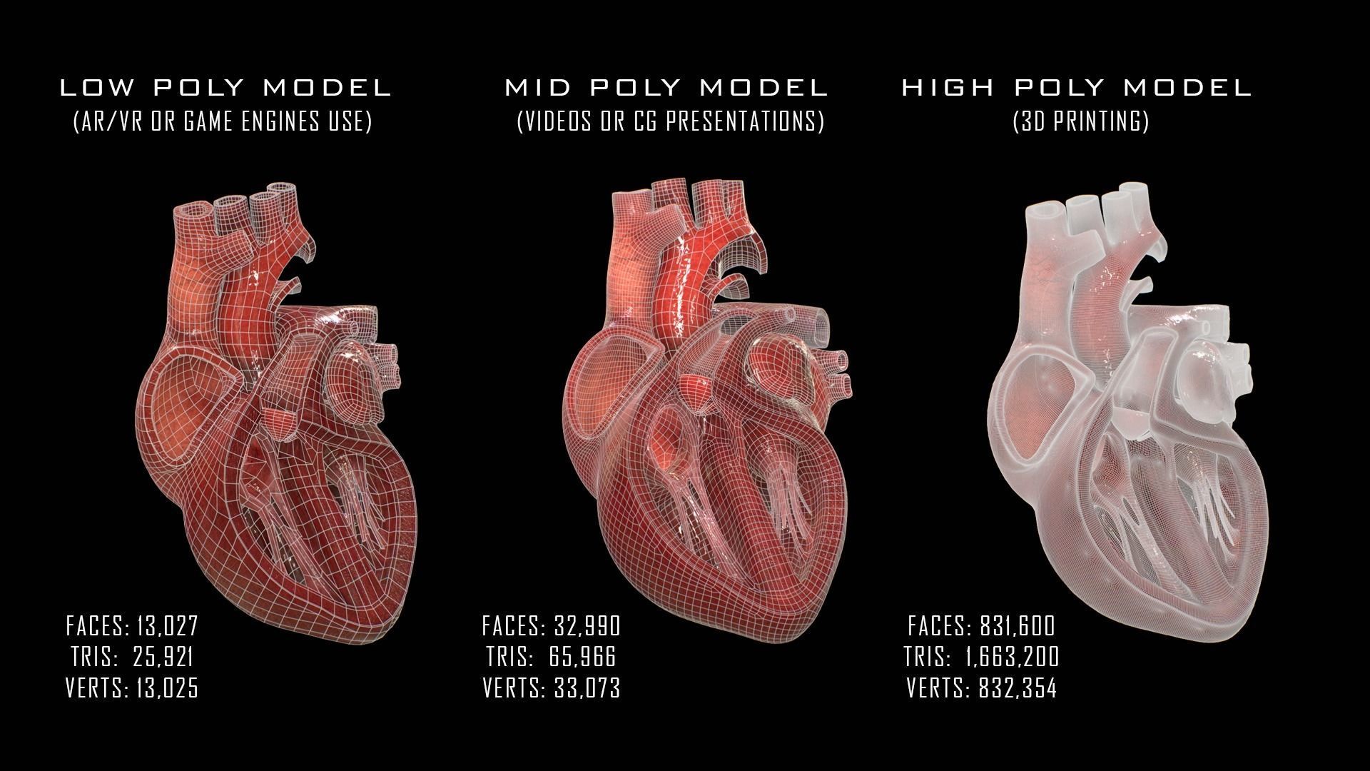 Human Heart Low-poly 3D model_3
