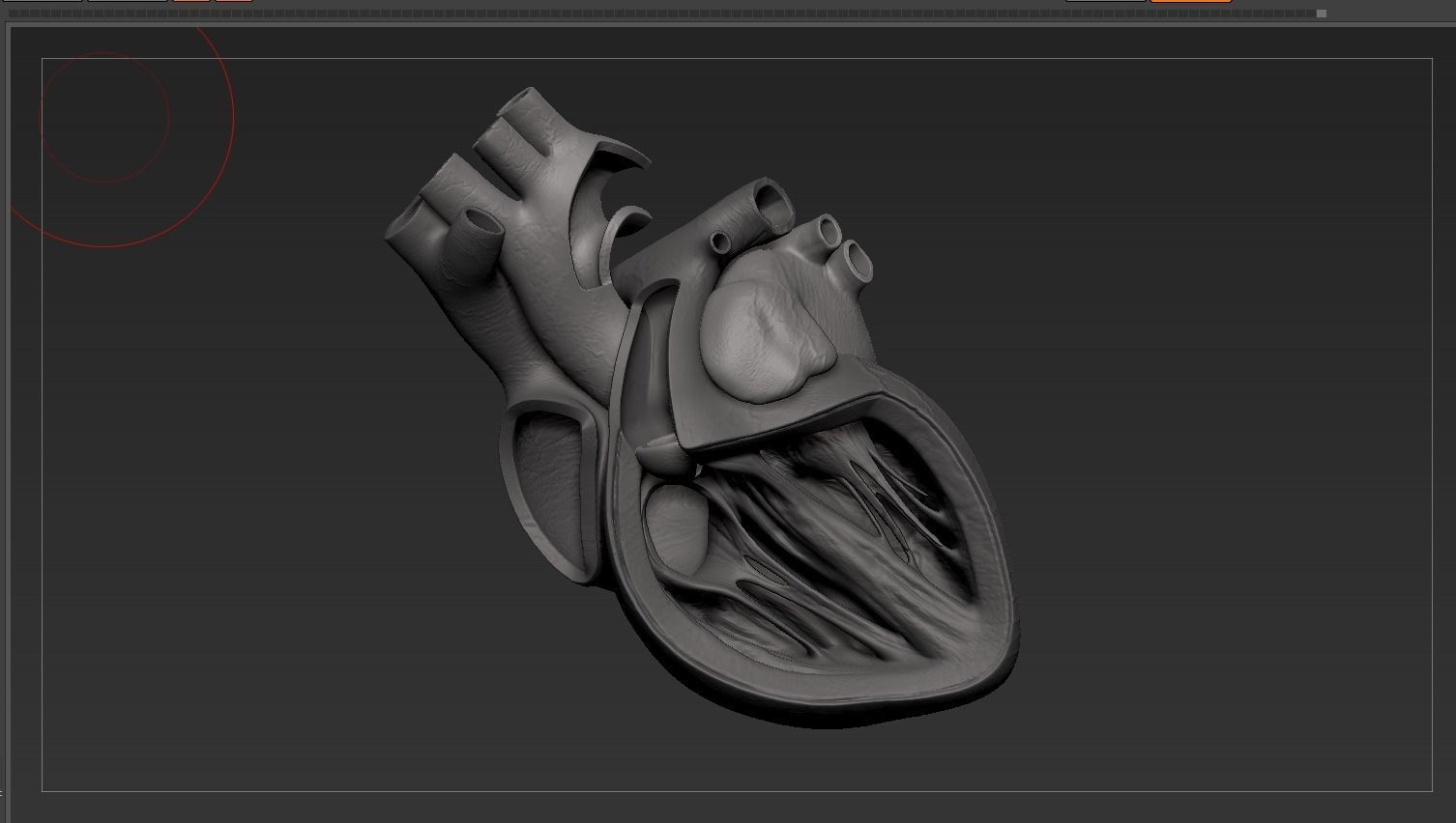 Human Heart Low-poly 3D model_29