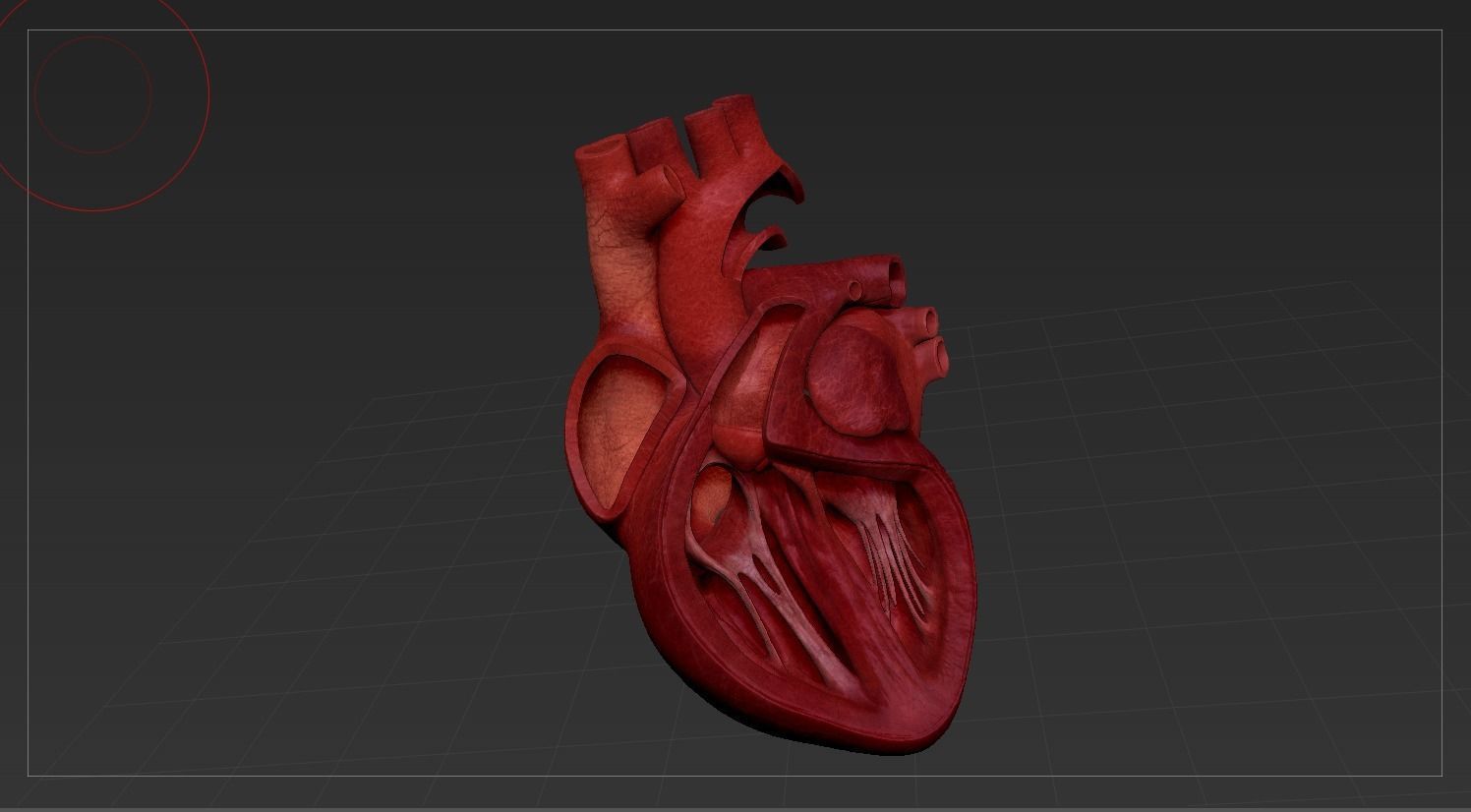 Human Heart Low-poly 3D model_24