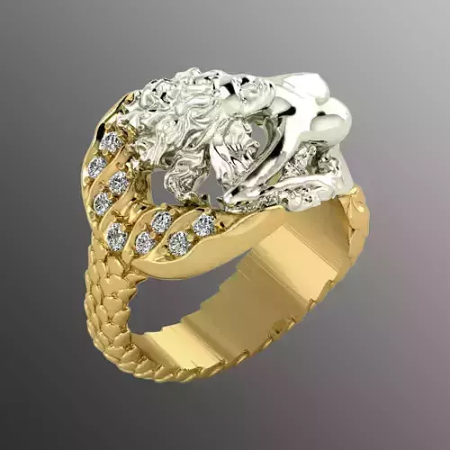 Ring op 2 3D print model