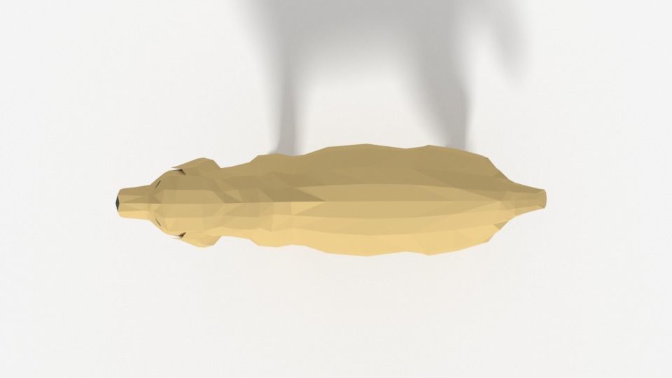 Low Poly Cartoon Labrador Low-poly 3D model_7