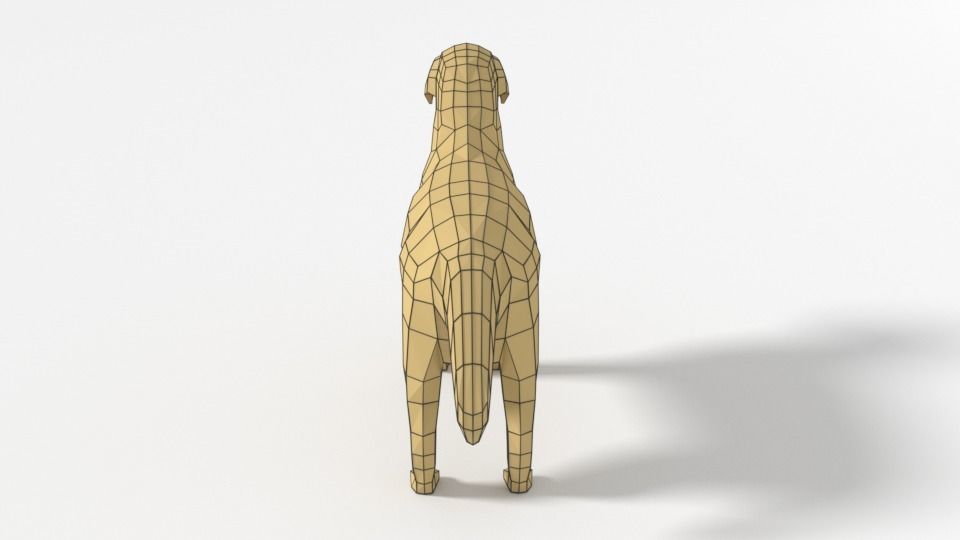 Low Poly Cartoon Labrador Low-poly 3D model_12