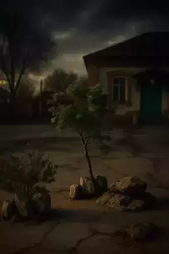 3D Models  Scenes Collections for Realistic Experience 