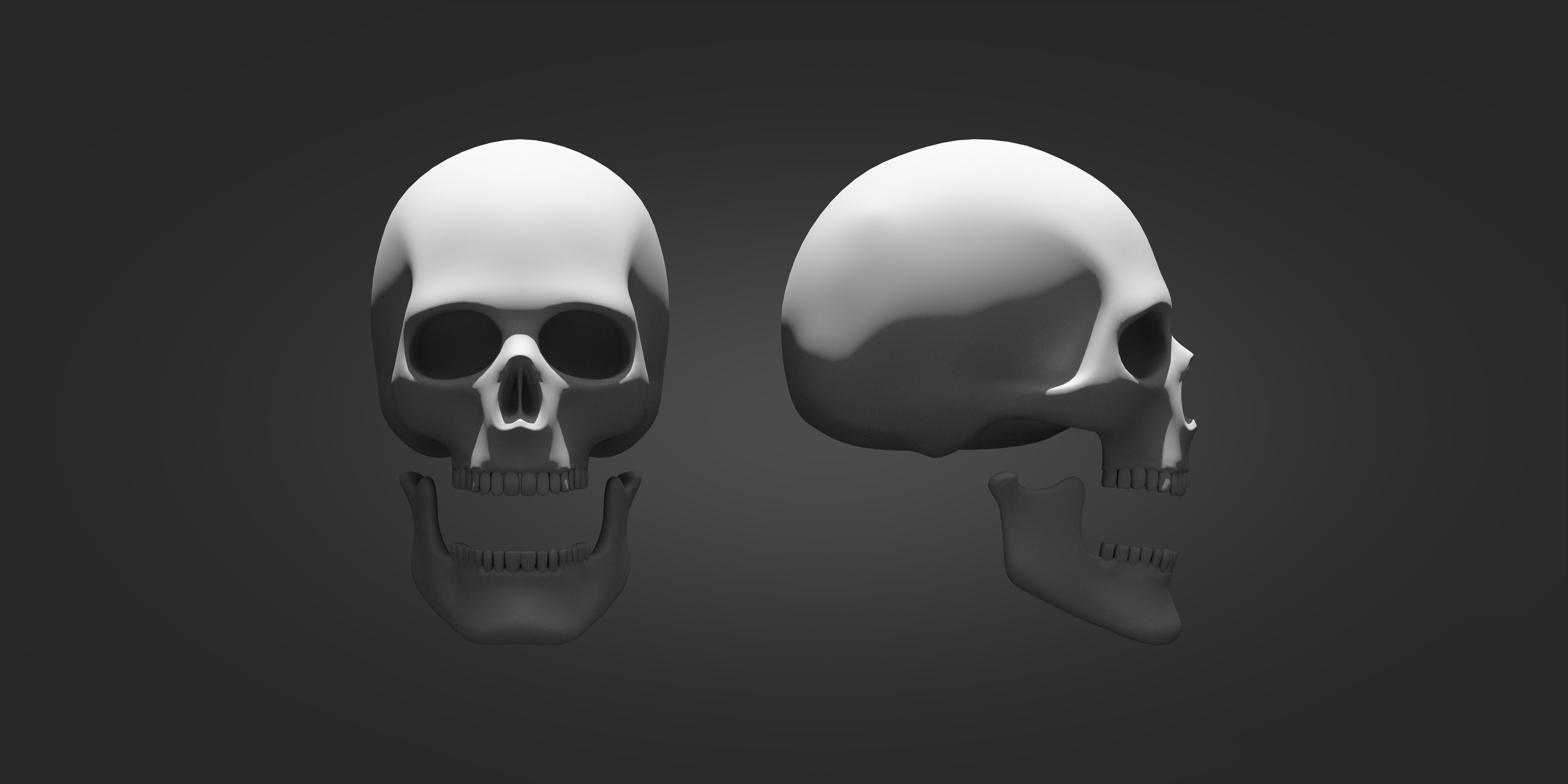 Skull two human skulls 3D print model_1