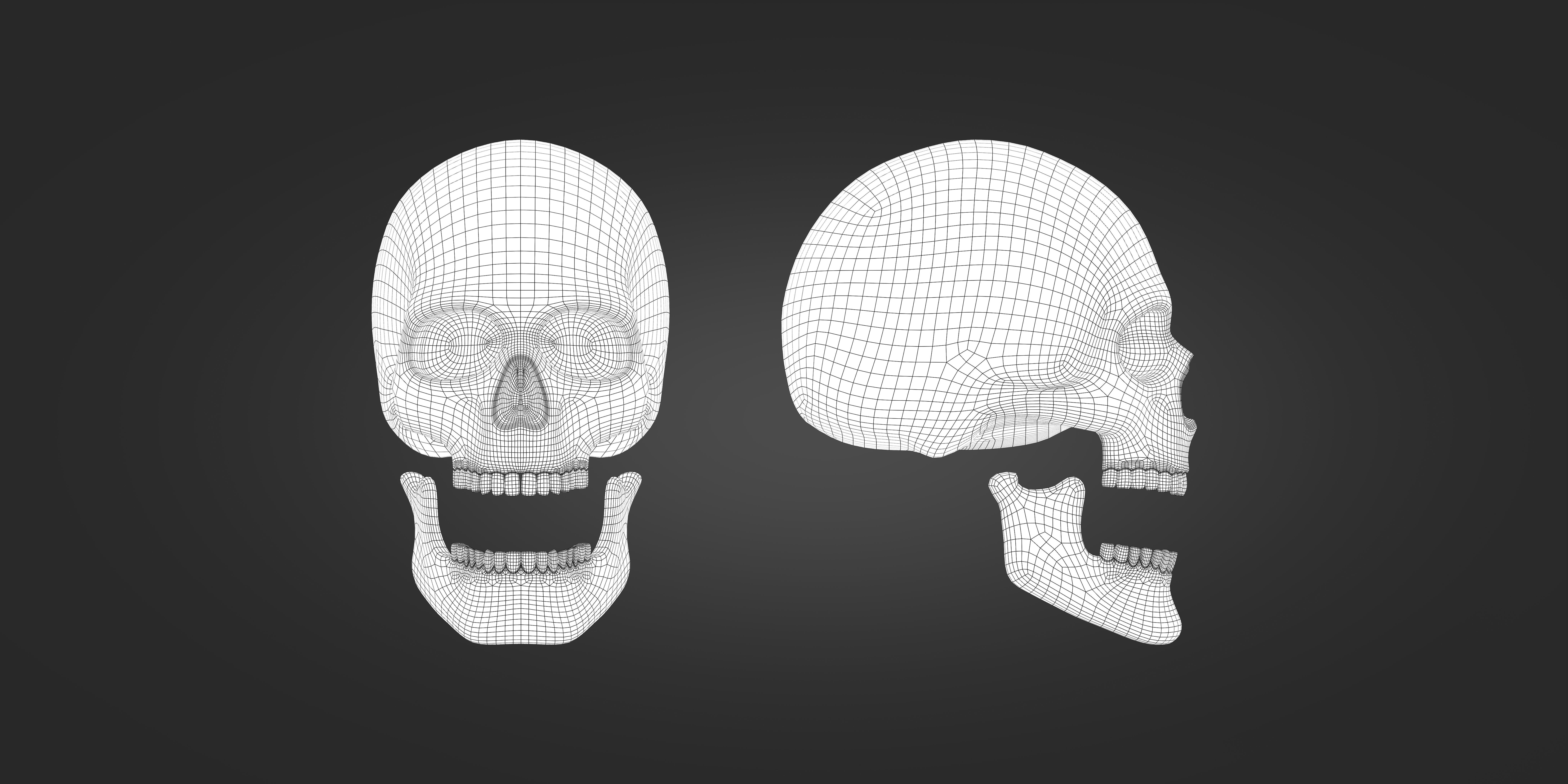 Skull two human skulls 3D print model_3