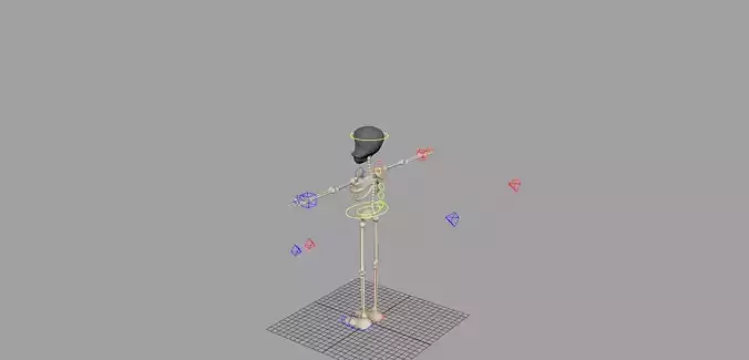 Skeleton Fully Rigged