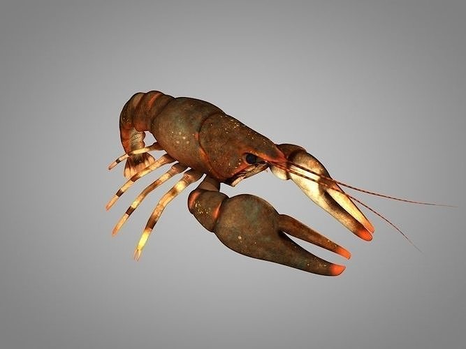 Cancer crayfish Low-poly 3D model