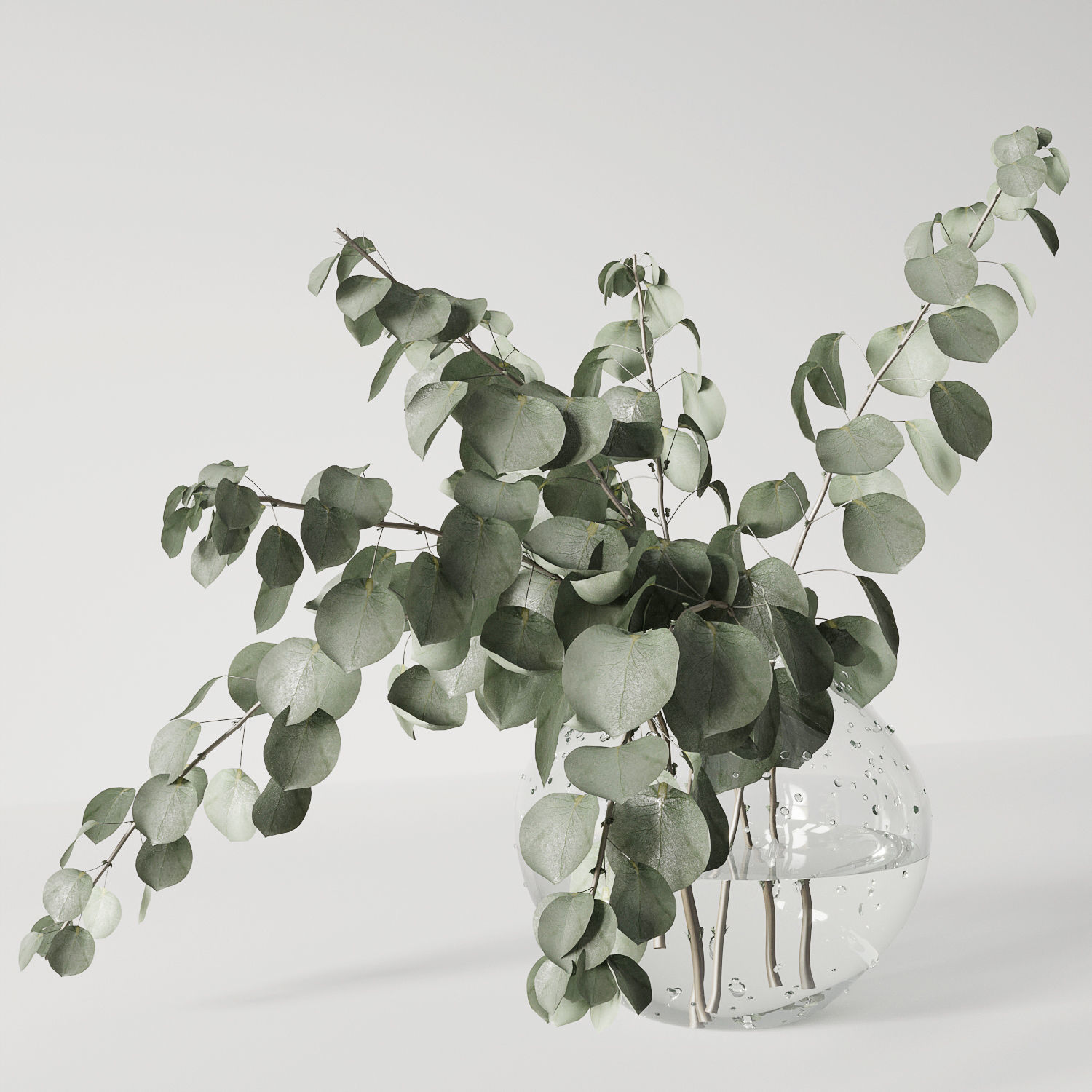 Eucalyptus bouquet 3D model_1