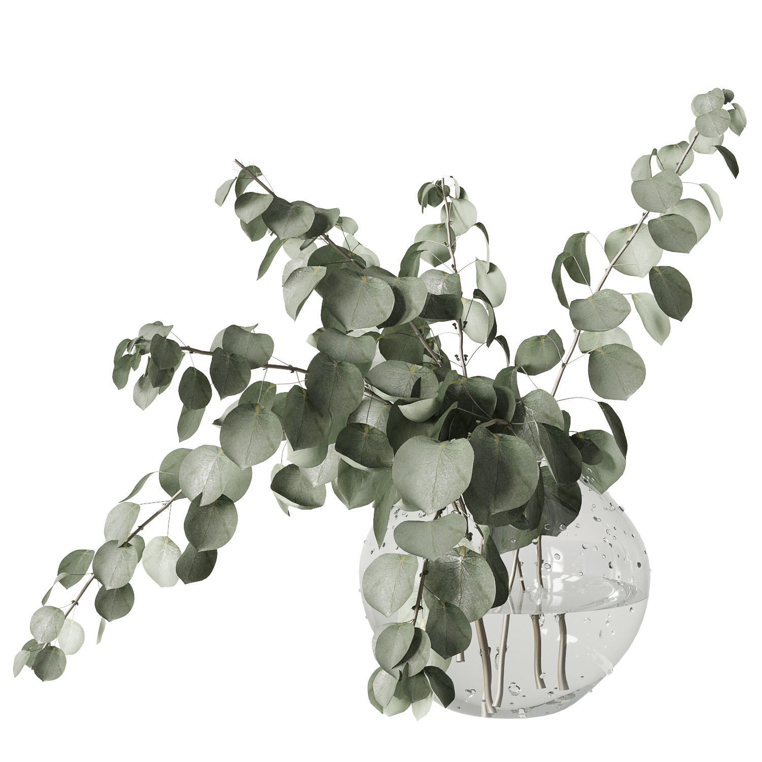 Eucalyptus bouquet 3D model_4