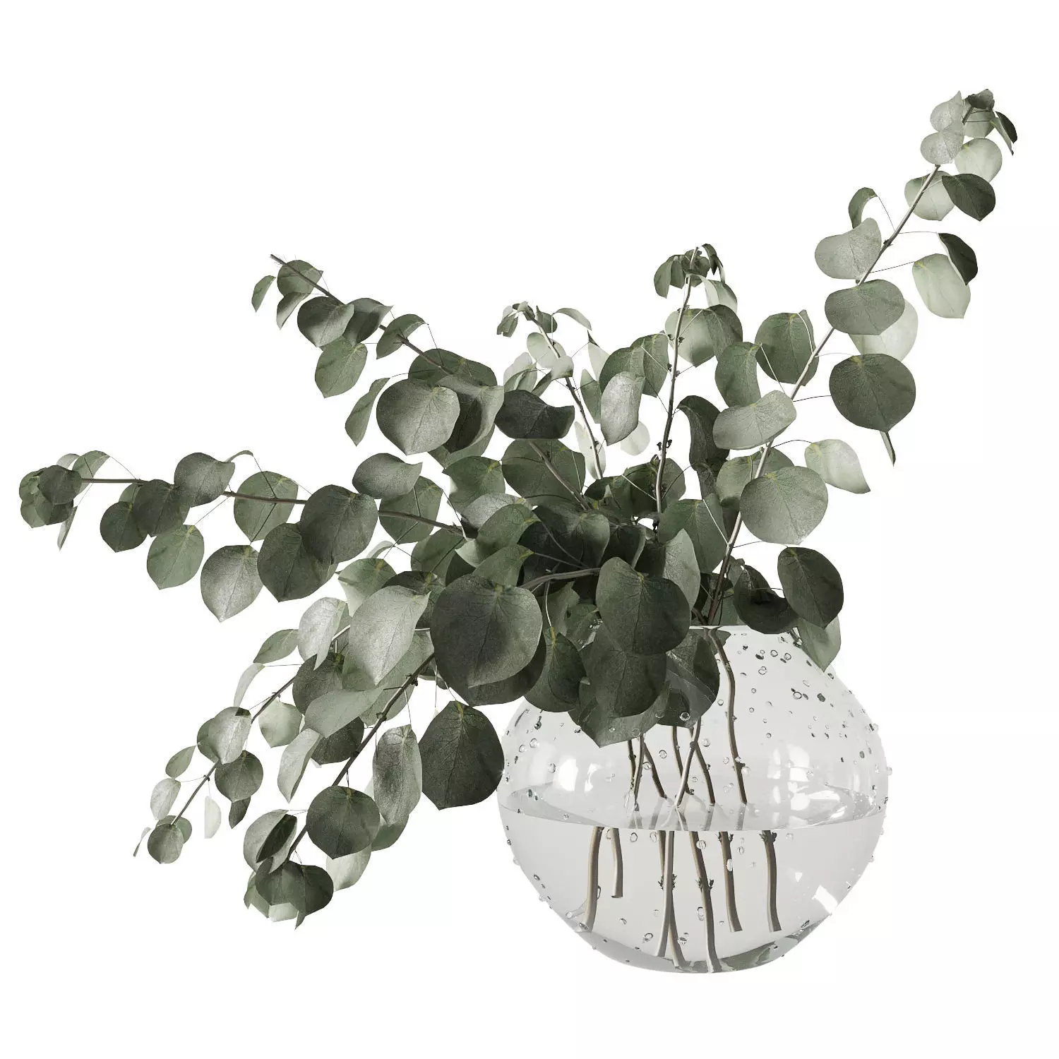 Eucalyptus bouquet 3D model_0