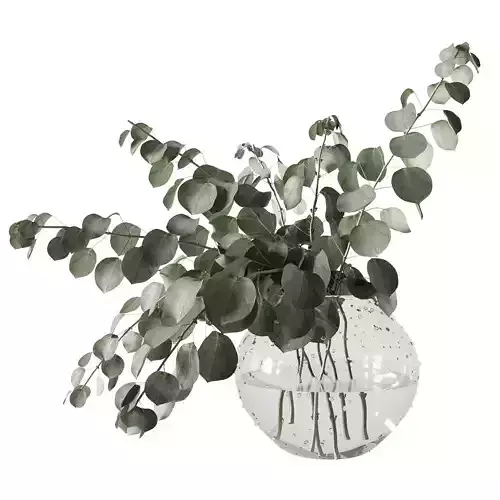 Eucalyptus bouquet 3D model