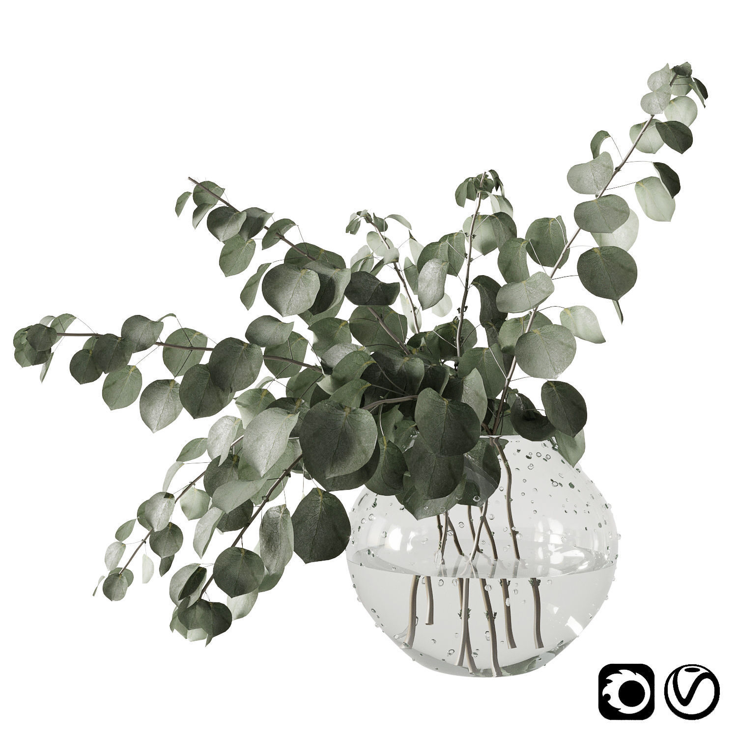 Eucalyptus bouquet 3D model_3