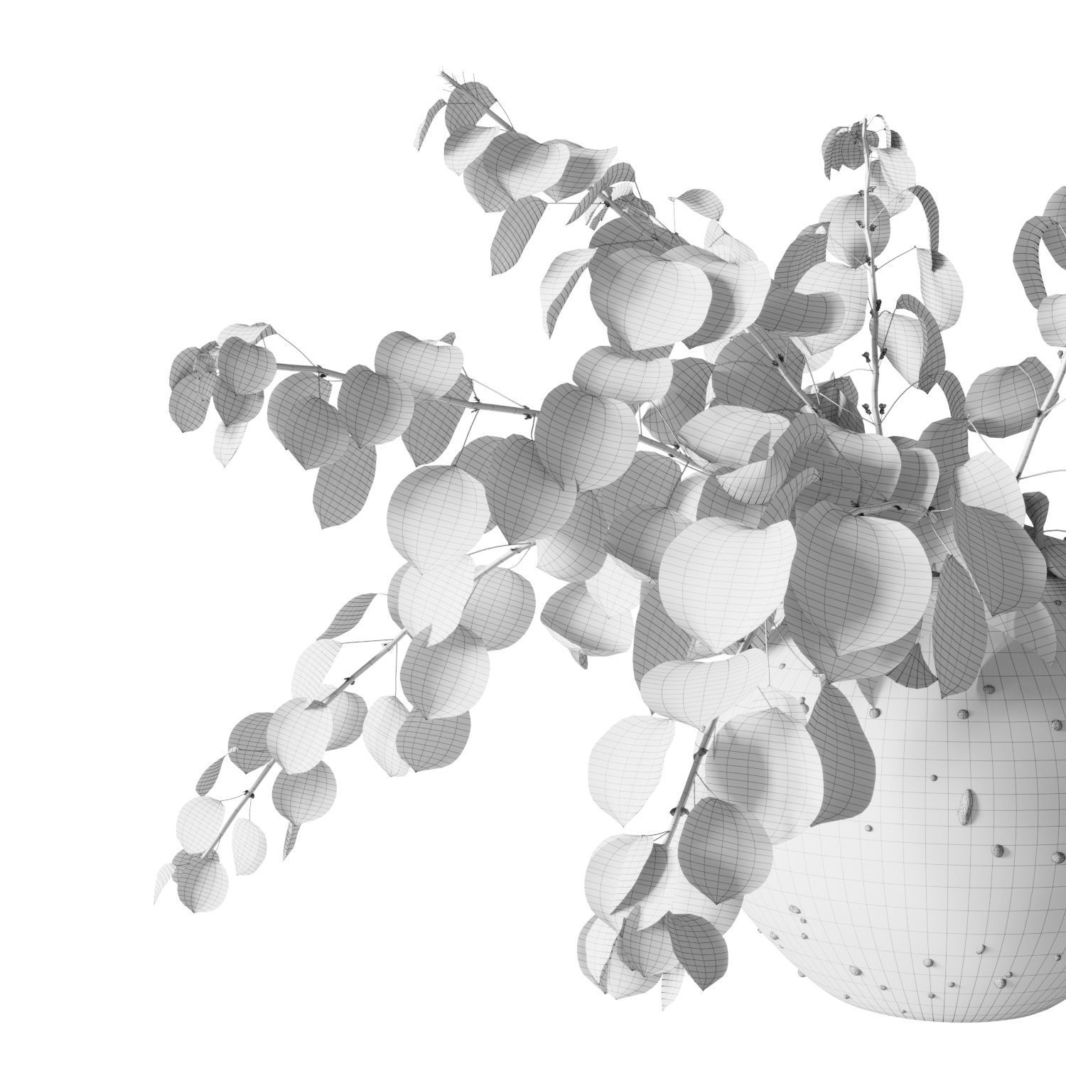 Eucalyptus bouquet 3D model_5