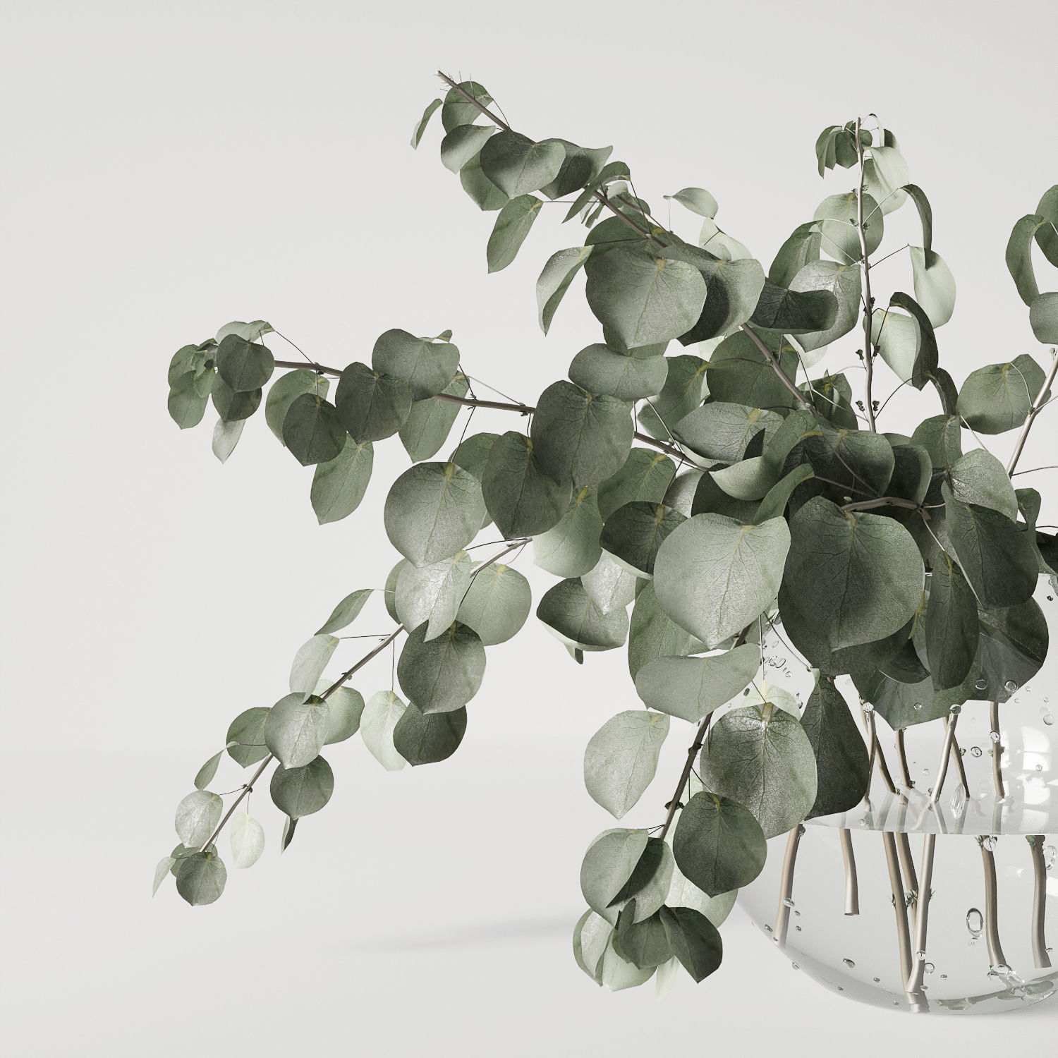 Eucalyptus bouquet 3D model_2