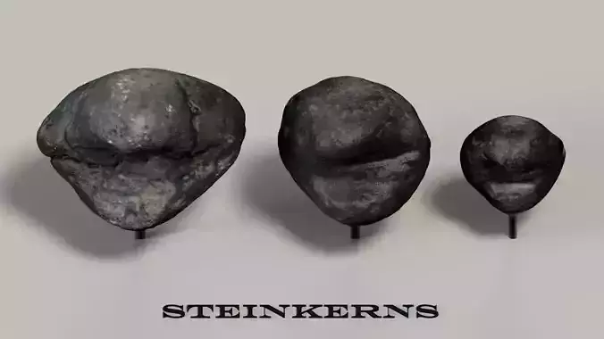 Fossil Mollusks 3D model