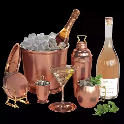 Potterybarn copper cocktail set