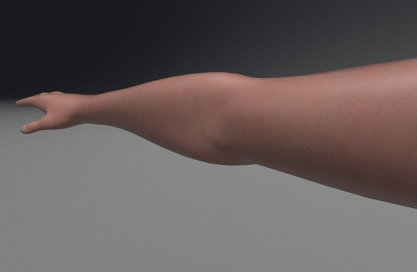 FPS Arms with Advanced Rig Low-poly 3D model_3