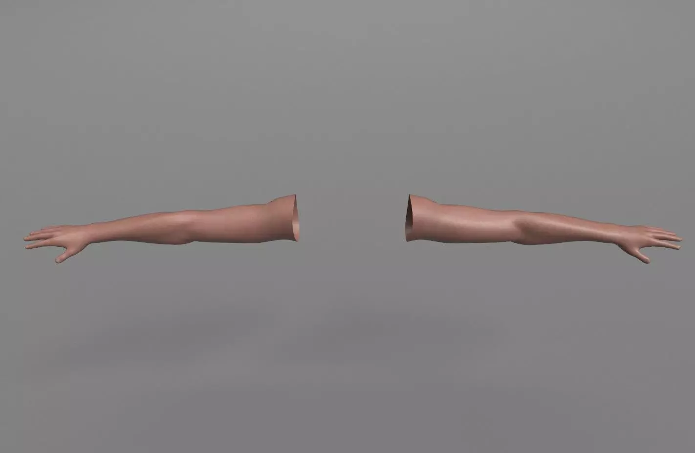 FPS Arms with Advanced Rig Low-poly 3D model_0