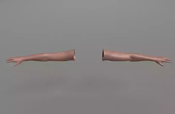 FPS Arms with Advanced Rig Low-poly 3D model