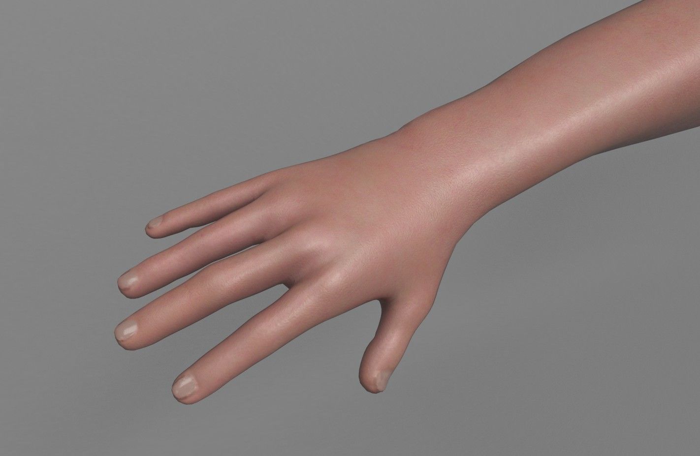 FPS Arms with Advanced Rig Low-poly 3D model_4