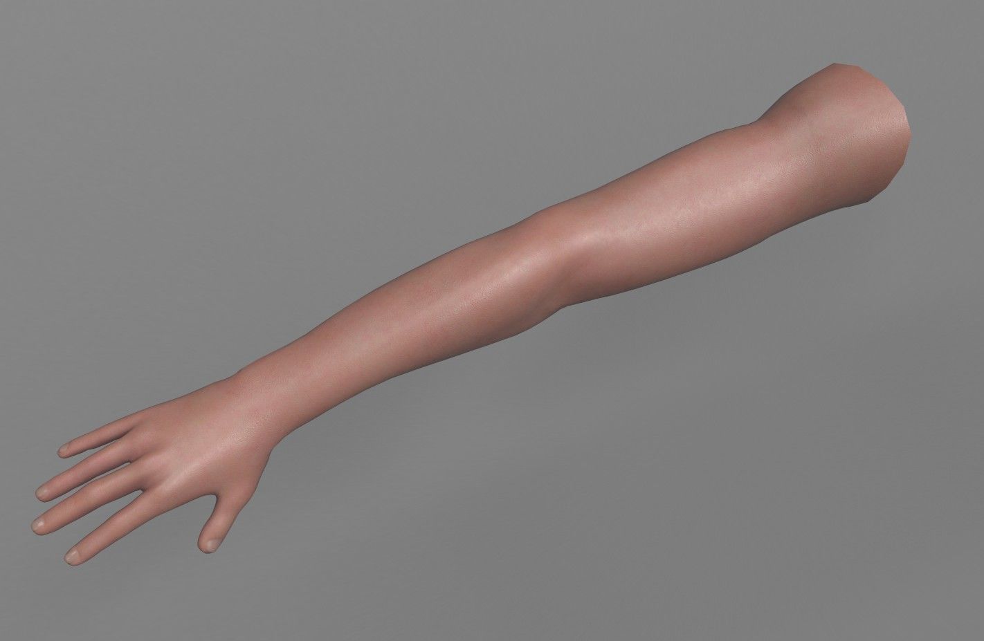 FPS Arms with Advanced Rig Low-poly 3D model_2