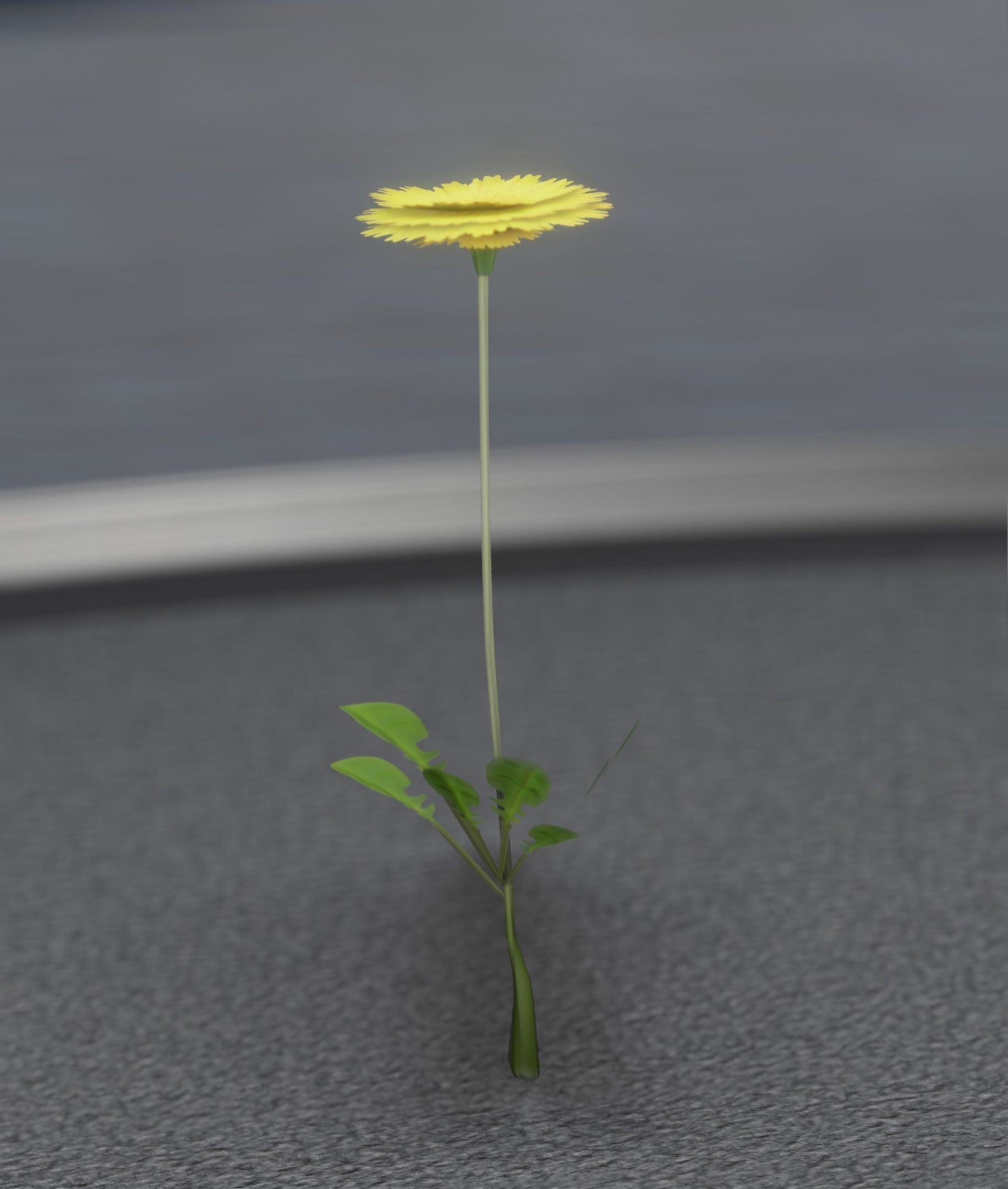Low-Poly Dandelion Flower Version 1 - Object 7 Low-poly 3D model_37