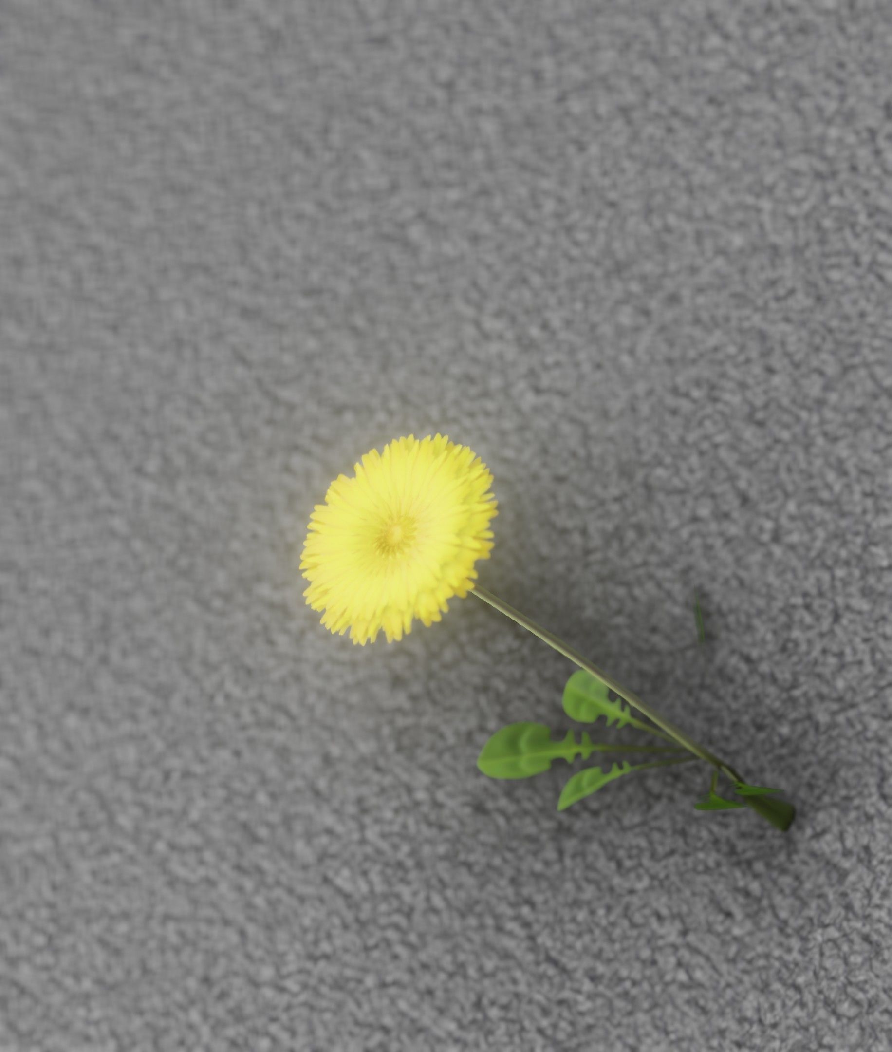 Low-Poly Dandelion Flower Version 1 - Object 7 Low-poly 3D model_9