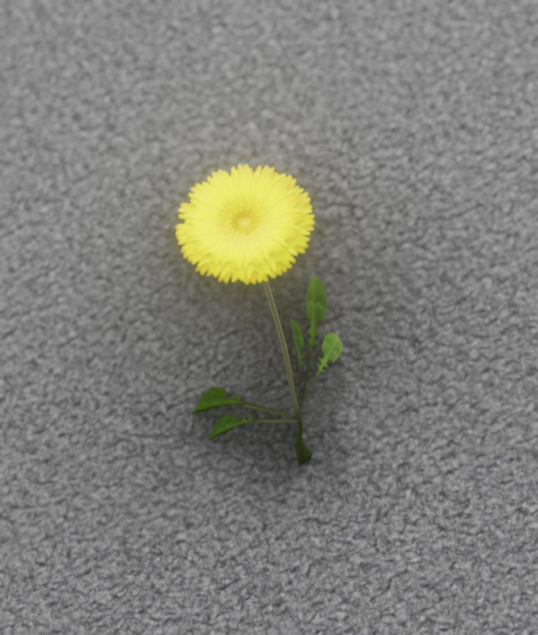 Low-Poly Dandelion Flower Version 1 - Object 7 Low-poly 3D model_16