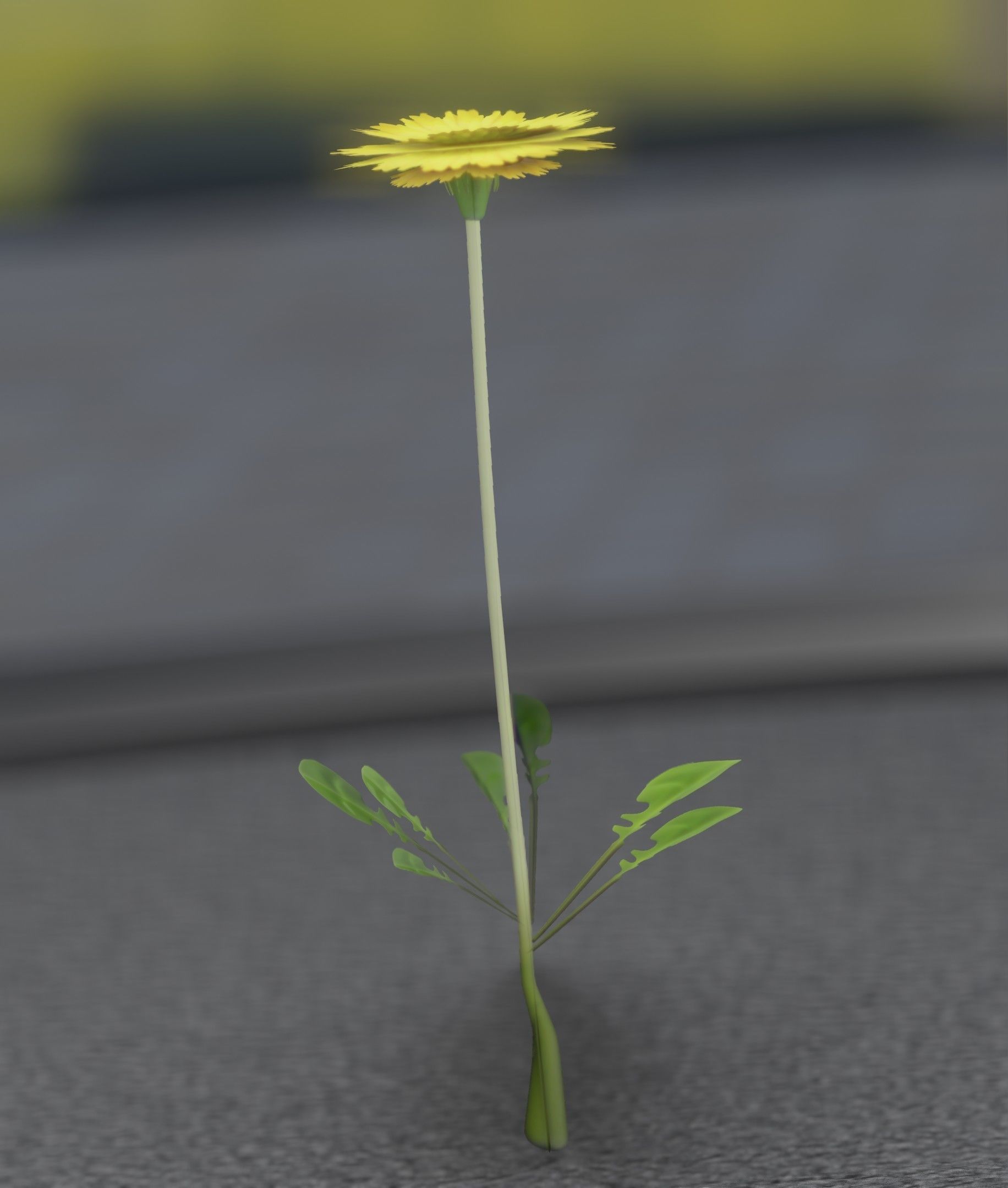 Low-Poly Dandelion Flower Version 1 - Object 7 Low-poly 3D model_39